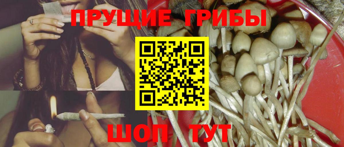 Галлюциногенные грибы мицелий Миасс